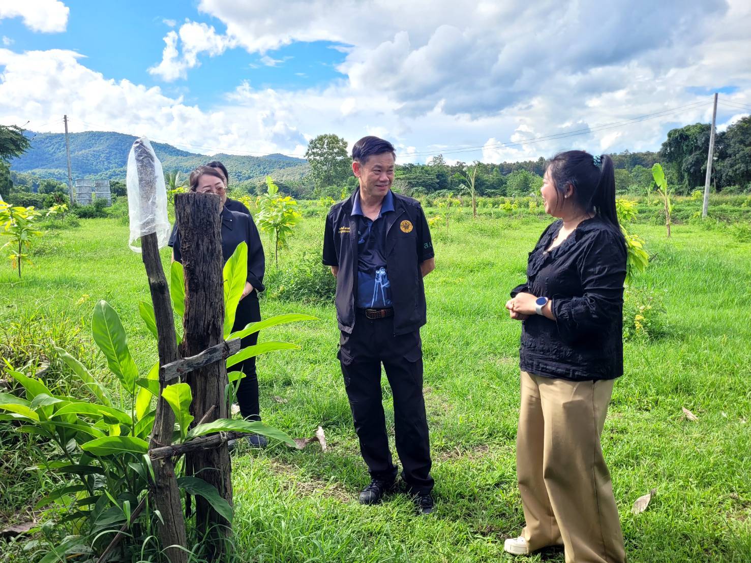 title - หัวหน้าผู้ตรวจราชการ ส.ป.ก. ประชุมติดตามผลการดำเนินงานตามแผนการตรวจราชการของ ส.ป.ก. ประจำปีงบประมาณ พ.ศ. 2569 รอบที่ 2 จังหวัดพะเยา